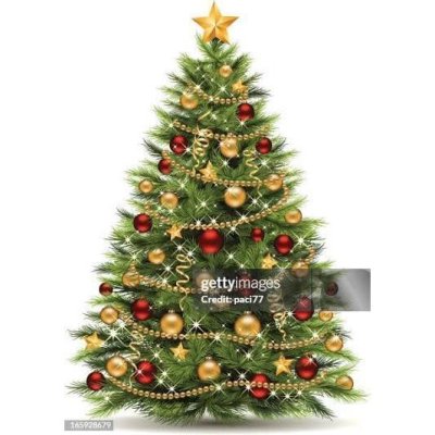 VENTE DE SAPIN DE NOEL
